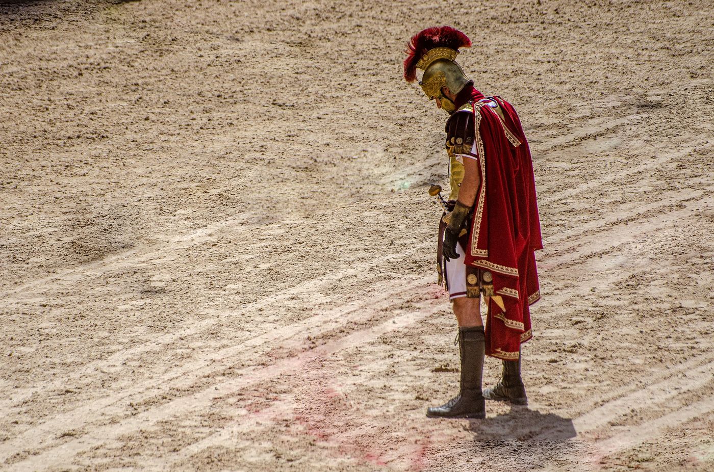 Colosseum Arena Tour with Forum and Palatine Access