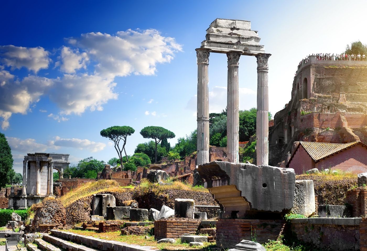 Guided Tour of Roman Forum & Palatine Hill