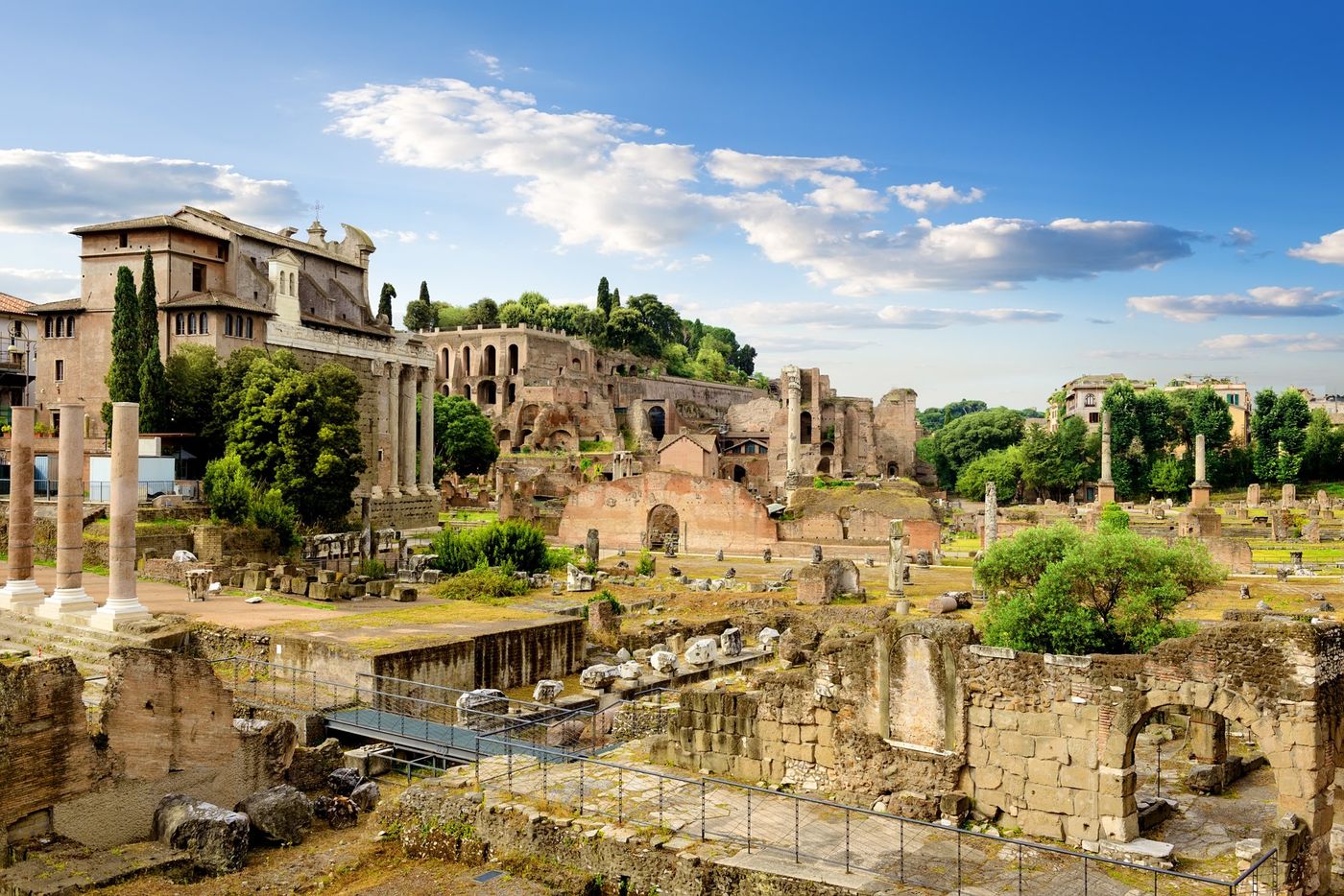 Guided Tour of Roman Forum & Palatine Hill