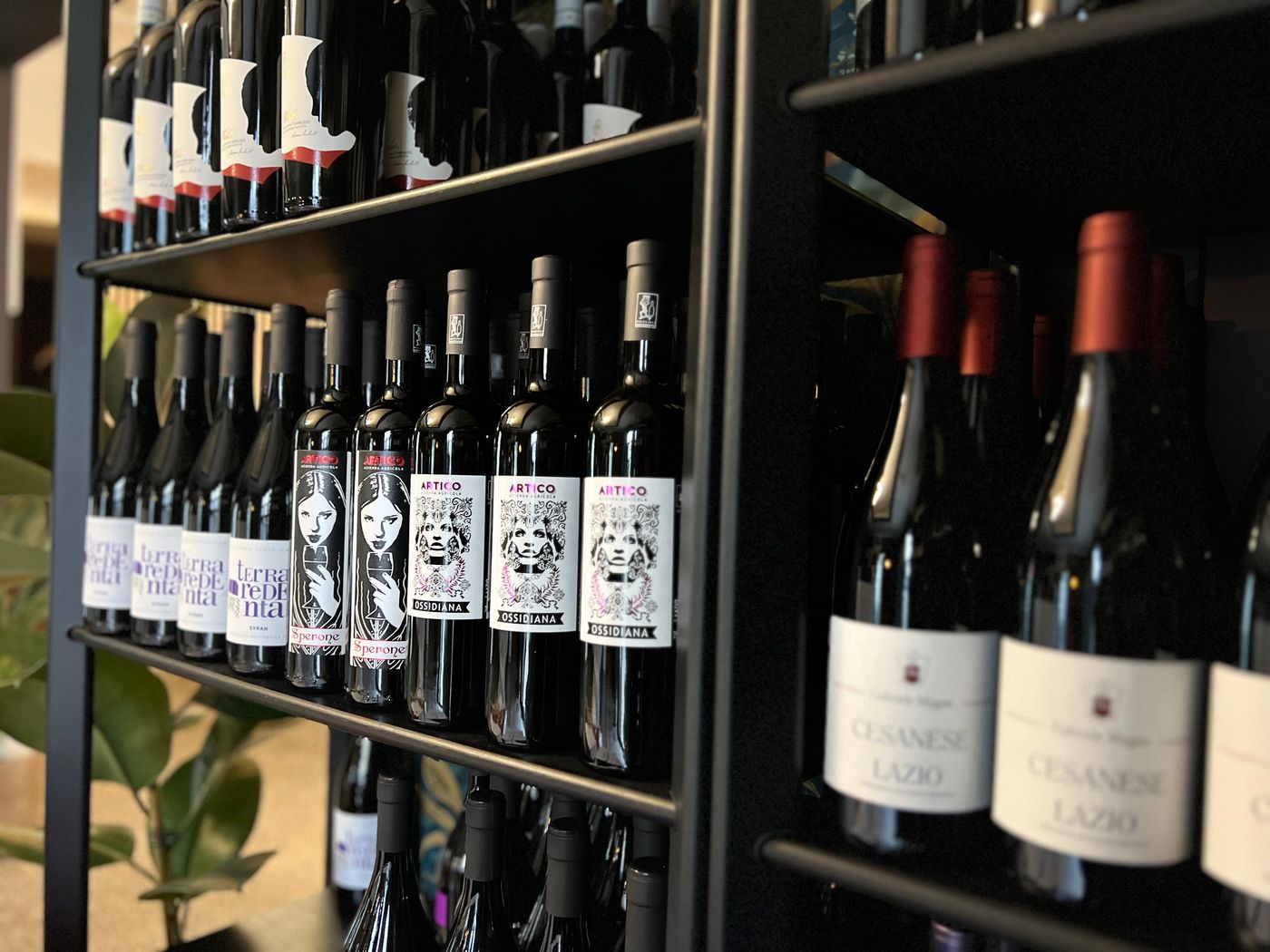 Rome by Night: City Tour & Wine Experience