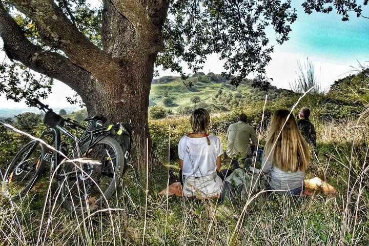 Bike excursion between history and vineyards: discovering Frascati