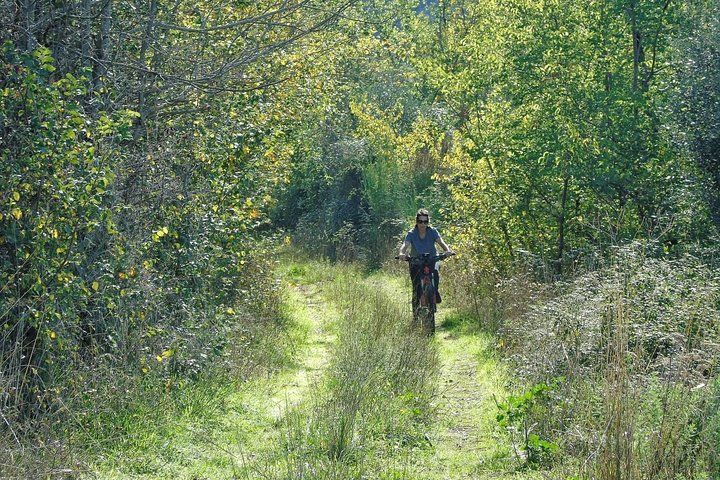 Bike excursion between history and vineyards: discovering Frascati