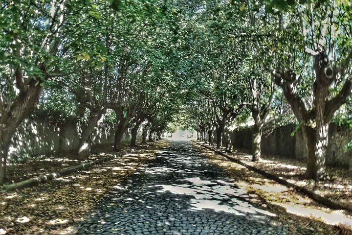 Bike excursion between history and vineyards: discovering Frascati